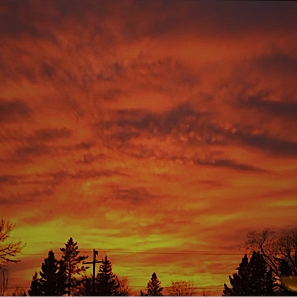 Meet your Posher, Kadence - Picture 1 of 1